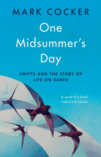 One Midsummer's Day : Swifts and the Story of Life on Earth-9781787332799