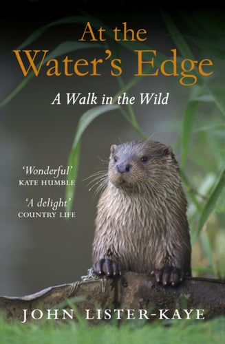 At the Water's Edge : A Walk in the Wild-9781847674050