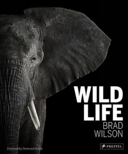 Wild Life-9783791348926