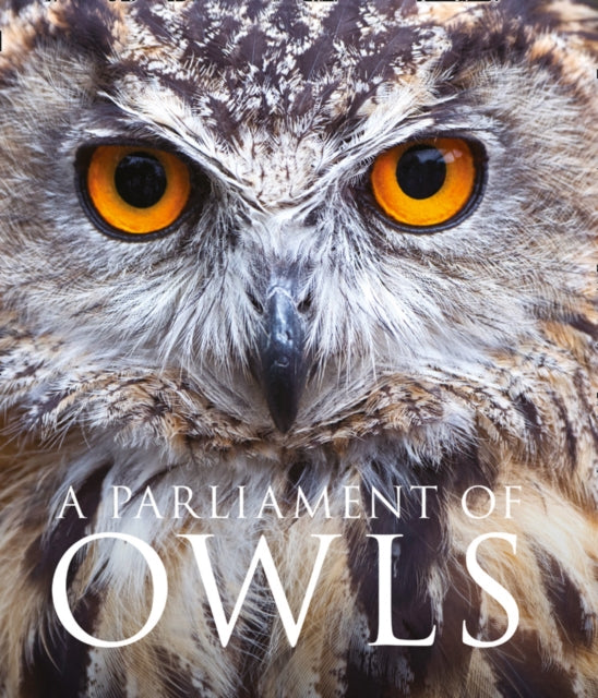 A Parliament of Owls-9780008206703