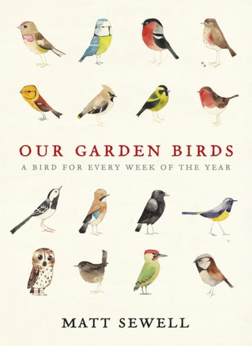 Our Garden Birds : a stunning illustrated guide to the birdlife of the British Isles-9780091945008