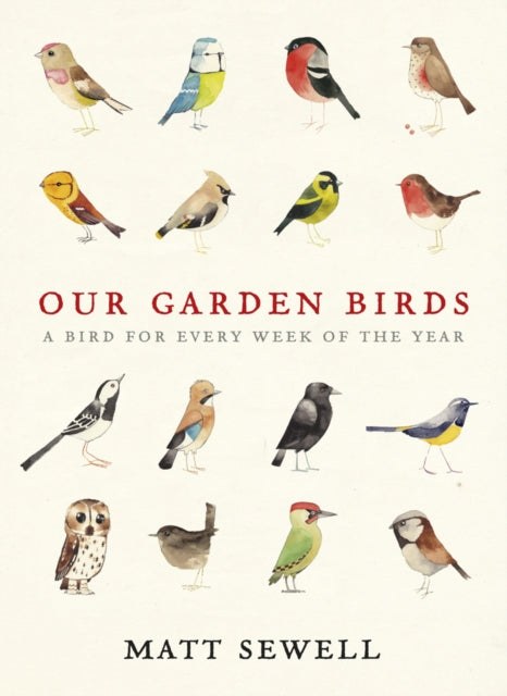 Our Garden Birds : a stunning illustrated guide to the birdlife of the British Isles-9780091945008