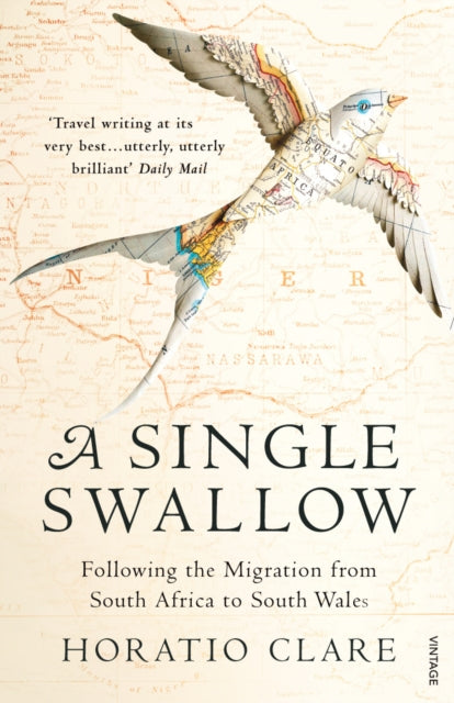 A Single Swallow : Following An Epic Journey From South Africa To South Wales-9780099526315