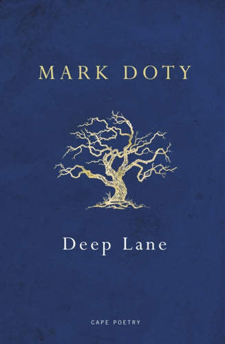 Deep Lane-9780224099837