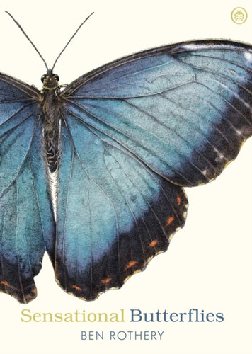 Sensational Butterflies-9780241361054