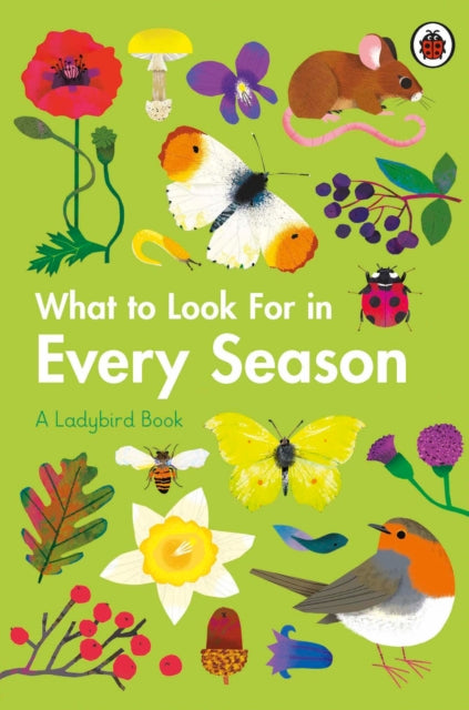What to Look For in Every Season : A Ladybird Book Boxset-9780241551127