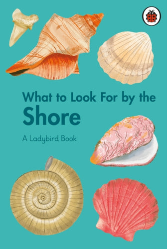 What to Look For by the Shore-9780241626139