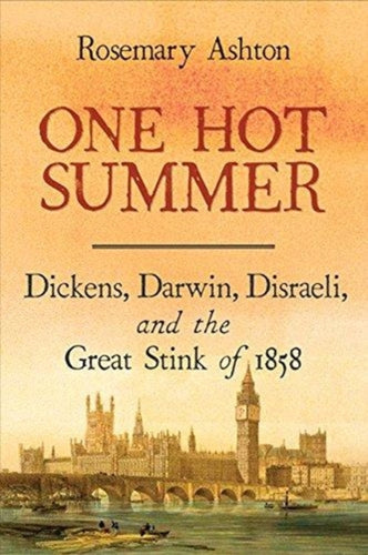 One Hot Summer : Dickens, Darwin, Disraeli, and the Great Stink of 1858-9780300238662