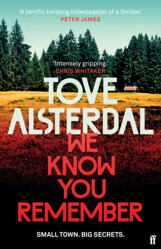 We Know You Remember : The No. 1 International Bestseller-9780571368938