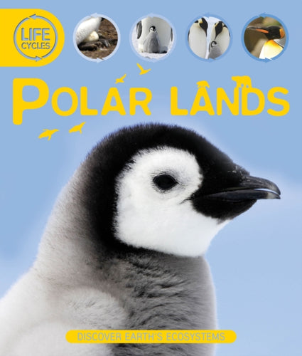 Life Cycles: Polar Lands-9780753434574