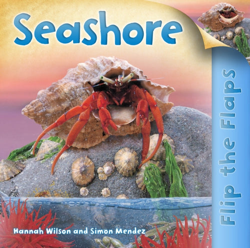 Flip the Flaps: Seashore-9780753436394