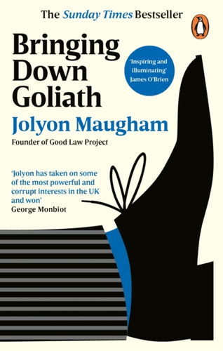 Bringing Down Goliath : How Good Law Can Topple the Powerful-9780753559802