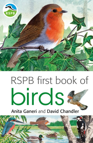 RSPB First Book Of Birds-9781408137185