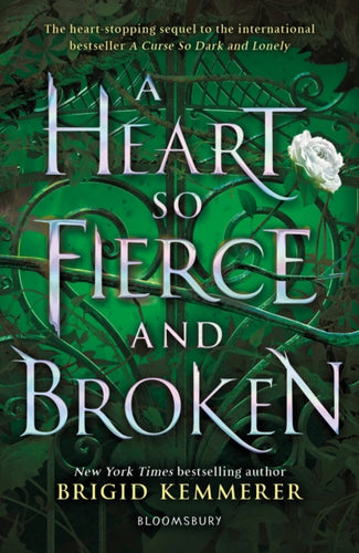 A Heart So Fierce and Broken-9781408885086