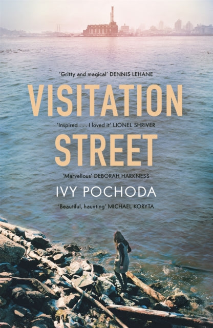 Visitation Street : Two girls disappear on the river. Only one of them comes back-9781444778274