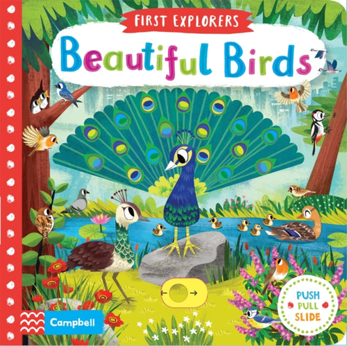 Beautiful Birds-9781509898336