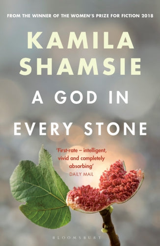 A God in Every Stone-9781526607782