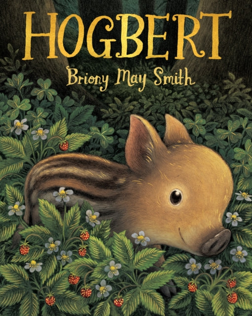 Hogbert-9781529518351