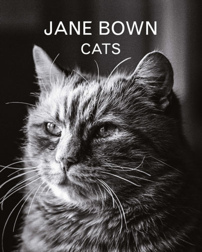 Jane Bown: Cats-9781783350872