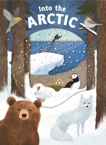 Into the Arctic : Look Closer-9781783415731
