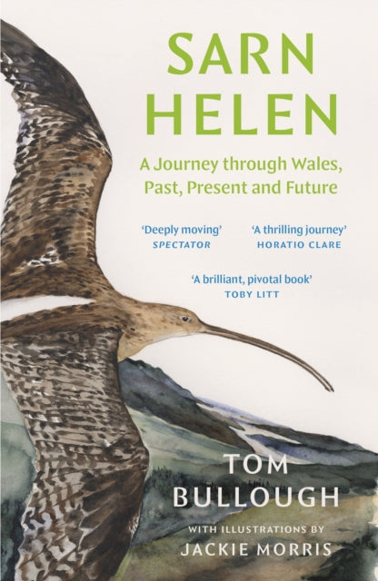 Sarn Helen : A Journey Through Wales, Past, Present and Future-9781783788118