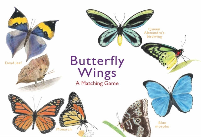 Butterfly Wings : A Matching Game-9781786272850