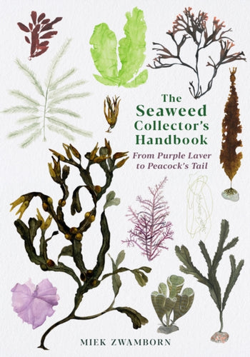 The Seaweed Collector's Handbook : From Purple Laver to Peacock’s Tail-9781788165471