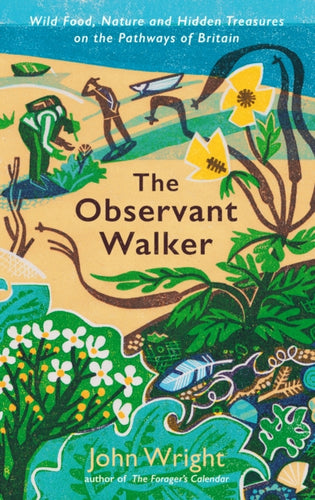 The Observant Walker : Wild Food, Nature and Hidden Treasures on the Pathways of Britain-9781788166881