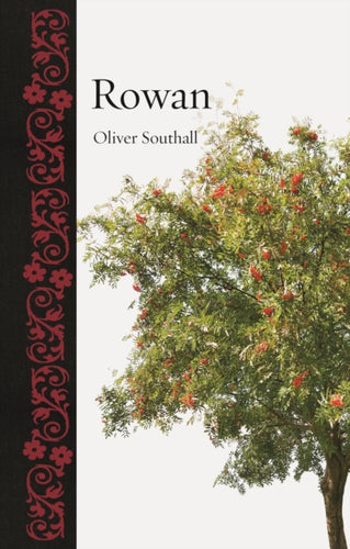 Rowan-9781789147124
