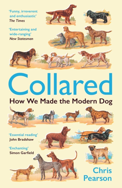 Collared : How We Made the Modern Dog-9781800816404