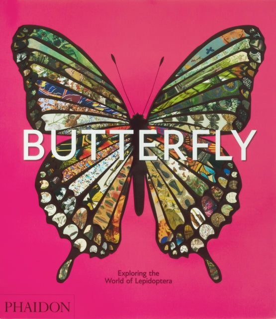 Butterfly : Exploring the World of Lepidoptera-9781838669379