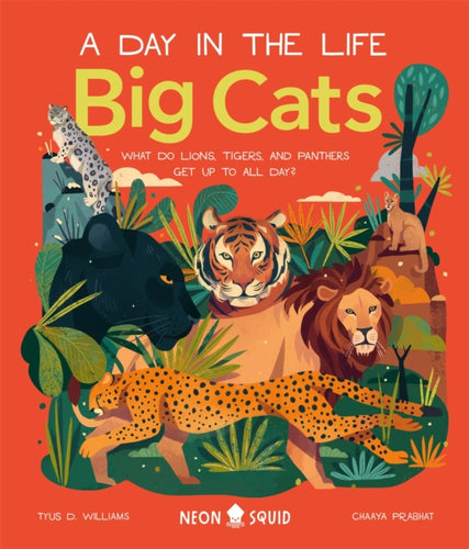 Big Cats (A Day in the Life) : What Do Lions, Tigers and Panthers Get up to all day?-9781838991548