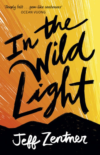 In the Wild Light-9781839130847