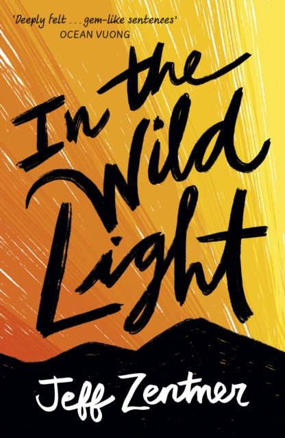 In the Wild Light-9781839130847