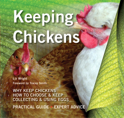 Keeping Chickens-9781847869951