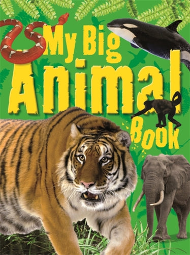 My Big Animal Book-9781848988101