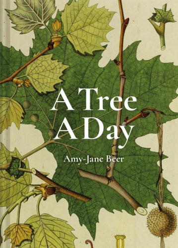 A Tree A Day-9781849946520
