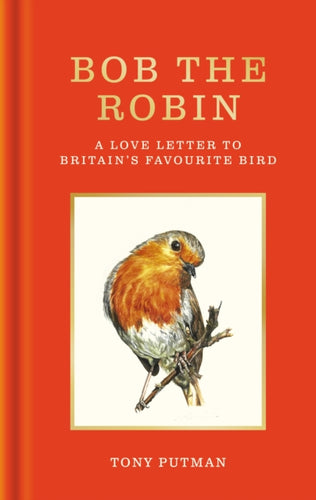 Bob the Robin : A true story of the friendship between one man and Britain's favourite garden bird-9781856755320