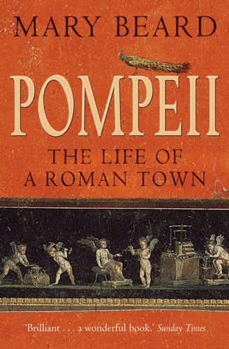 Pompeii : The Life of a Roman Town-9781861975966
