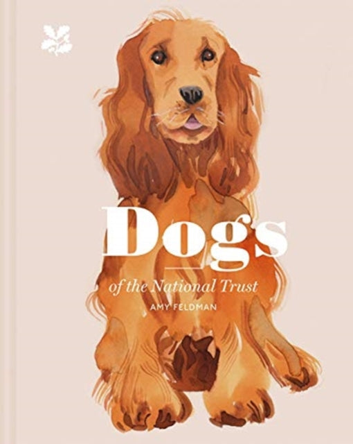 Dogs of the National Trust-9781911358695