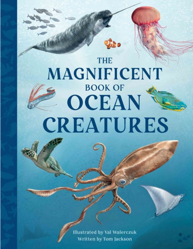 The Magnificent Book of Ocean Creatures-9781915588401