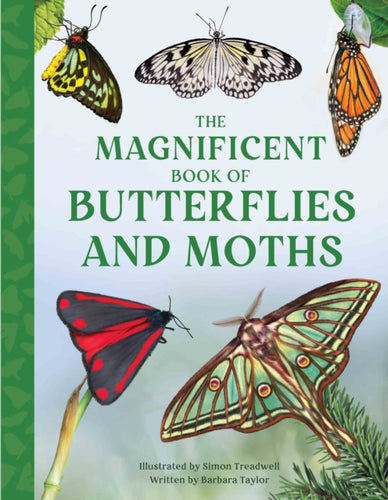 The Magnificent Book of Butterflies and Moths-9781915588425