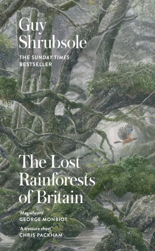 The Lost Rainforests of Britain-9780008527952