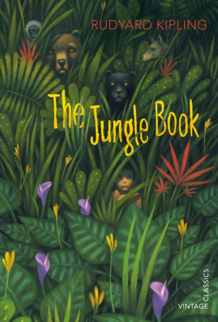 Jungle Book-9780099573029