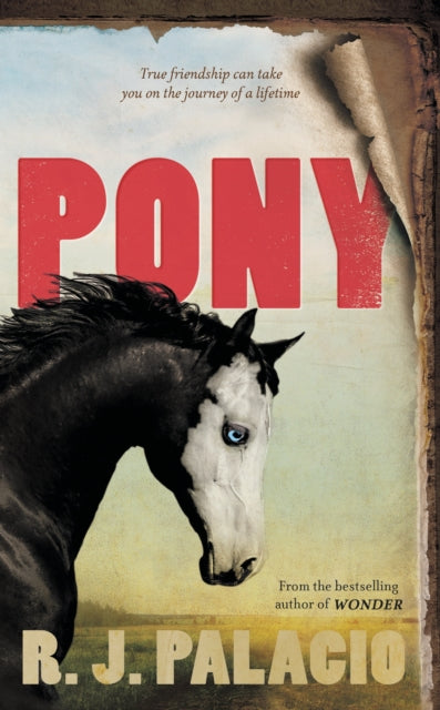 Pony : from the bestselling author of Wonder-9780141377056