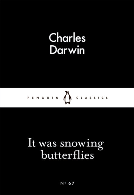 It Was Snowing Butterflies-9780141398556