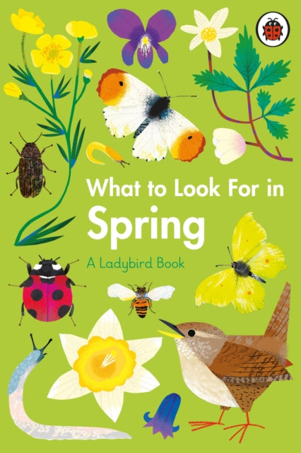 What to Look For in Spring-9780241416181