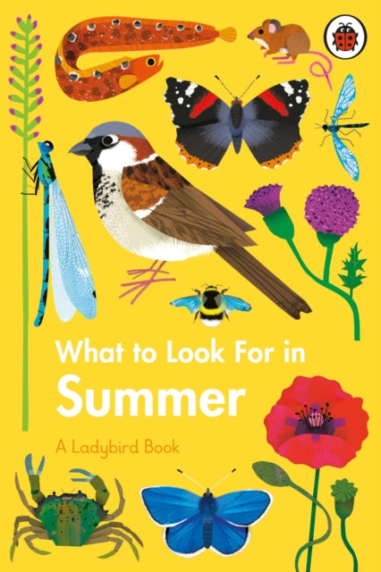 What to Look For in Summer-9780241416204