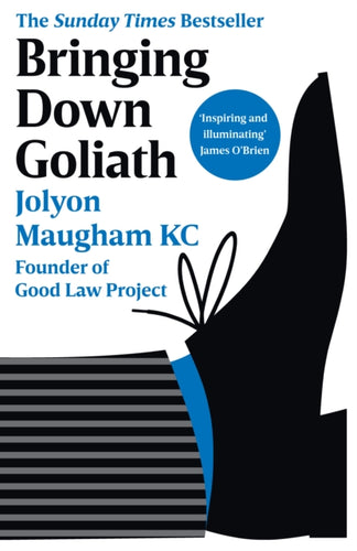 Bringing Down Goliath : How Good Law Can Topple the Powerful-9780753559789