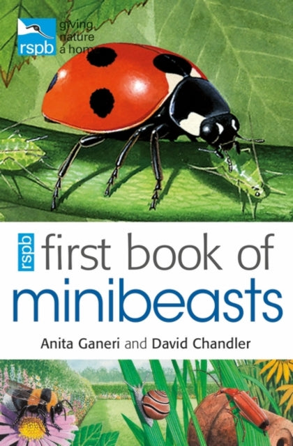 Rspb First Book Of Minibeasts-9781408137154